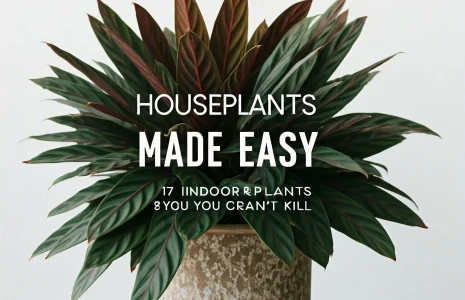 Houseplants Made Easy 17 Indoor Plants You Cant Kill