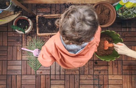 Beginner’s first steps to indoor houseplants, empty space with a plant care guide.